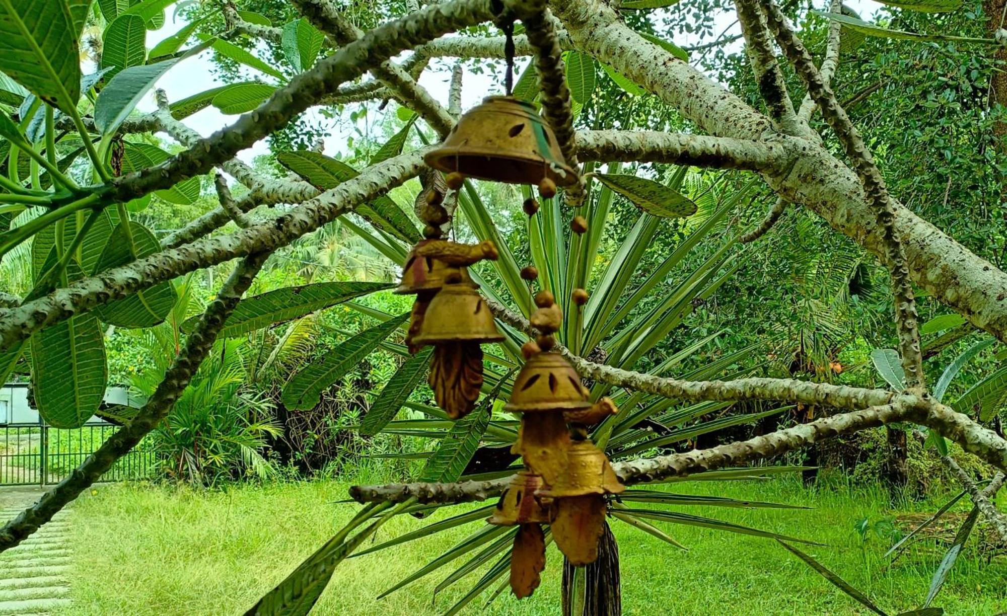 Angels' Homestay Marari Марарикулам Экстерьер фото